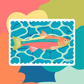 BadgertonIllustrations 02